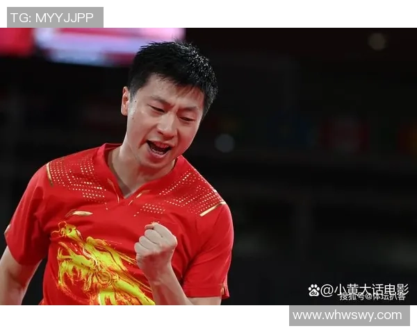 杭州乒乓球队个人能力排名创新高引发关注与期待